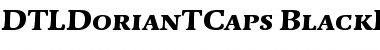 DTLDorianTCaps BlackItalic Font