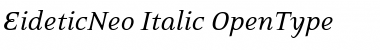 EideticNeo Italic Font