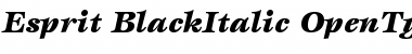 ITC Esprit Black Italic Font