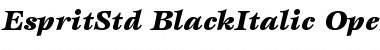 ITC Esprit Std Black Italic