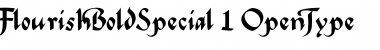 FlourishBoldSpecial Regular Font