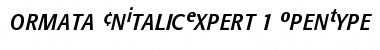 Formata Condensed Italic Expert Font