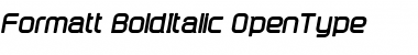 Formatt Bold Italic Font