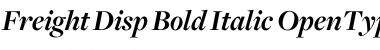 Freight Disp Bold Italic