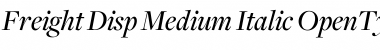 Freight Disp Medium Italic Font