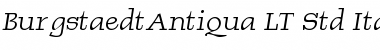 BurgstaedtAntiqua LT Std Italic Regular Font