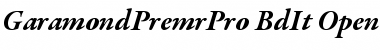 Garamond Premier Pro Bold Italic Font