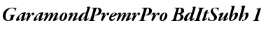 Garamond Premier Pro Bold Italic Subhead