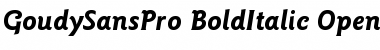 ITC Goudy Sans Pro Bold Italic Font