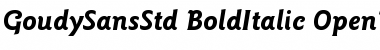 ITC Goudy Sans Std Bold Italic Font