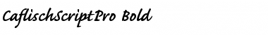 Caflisch Script Pro Regular Bold Font