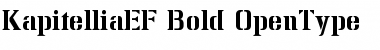 KapitelliaEF-Bold Regular Font