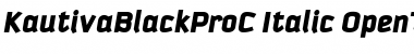 KautivaBlackProC Italic