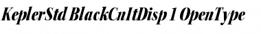 Kepler Std Black Condensed Italic Display Font