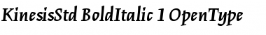 Kinesis Std Bold Italic Font