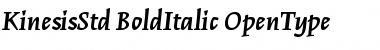 Kinesis Std Bold Italic