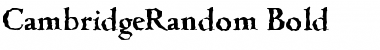 CambridgeRandom Font