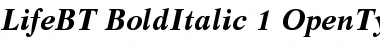 Life Bold Italic Font