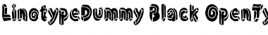 LTDummy Black Regular Font