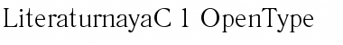 LiteraturnayaC Regular Font