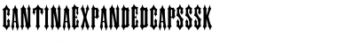 CantinaExpandedCapsSSK Regular Font