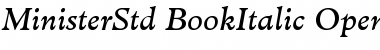 Minister Std Book Italic