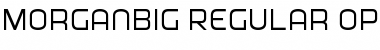 MorganBig Regular Font