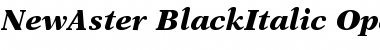New Aster Black Italic Font