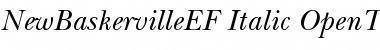 NewBaskervilleEF Italic Font