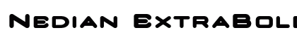 Nedian ExtraBold Preview