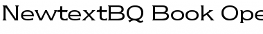 Newtext BQ Regular Font