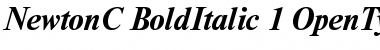 NewtonC Bold Italic
