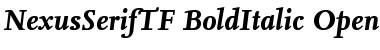 NexusSerifTF-BoldItalic Regular Font