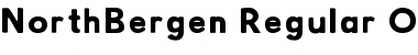 NorthBergen Regular Font