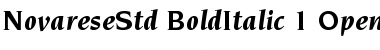 ITC Novarese Std Bold Italic Font