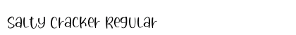 Salty Cracker Regular preview Salty Cracker Regular preview