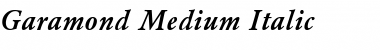 Garamond Medium-Italic