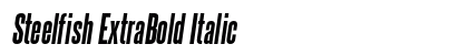 Steelfish ExtraBold Italic Preview