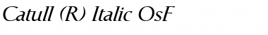 Catull Expert BQ Italic Font