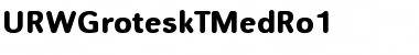 URWGroteskTMedRo1 Regular Font