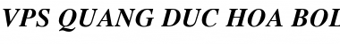 VPS Quang Duc Hoa Bold Italic Font