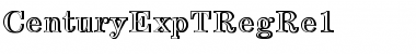 CenturyExpTRegRe1 Regular Font