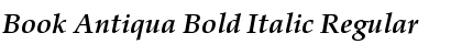 Download Book Antiqua Bold Italic Font