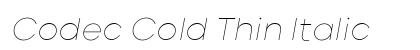 Codec Cold Thin Italic Preview
