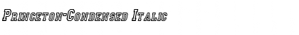 Princeton-Condensed Italic