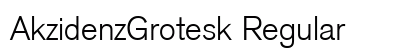 AkzidenzGrotesk Regular Preview