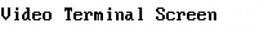 Video Terminal Screen Regular