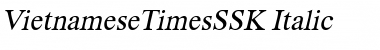 VietnameseTimesSSK Italic