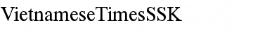 VietnameseTimesSSK Regular Font