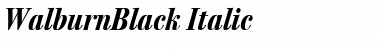 WalburnBlack Italic